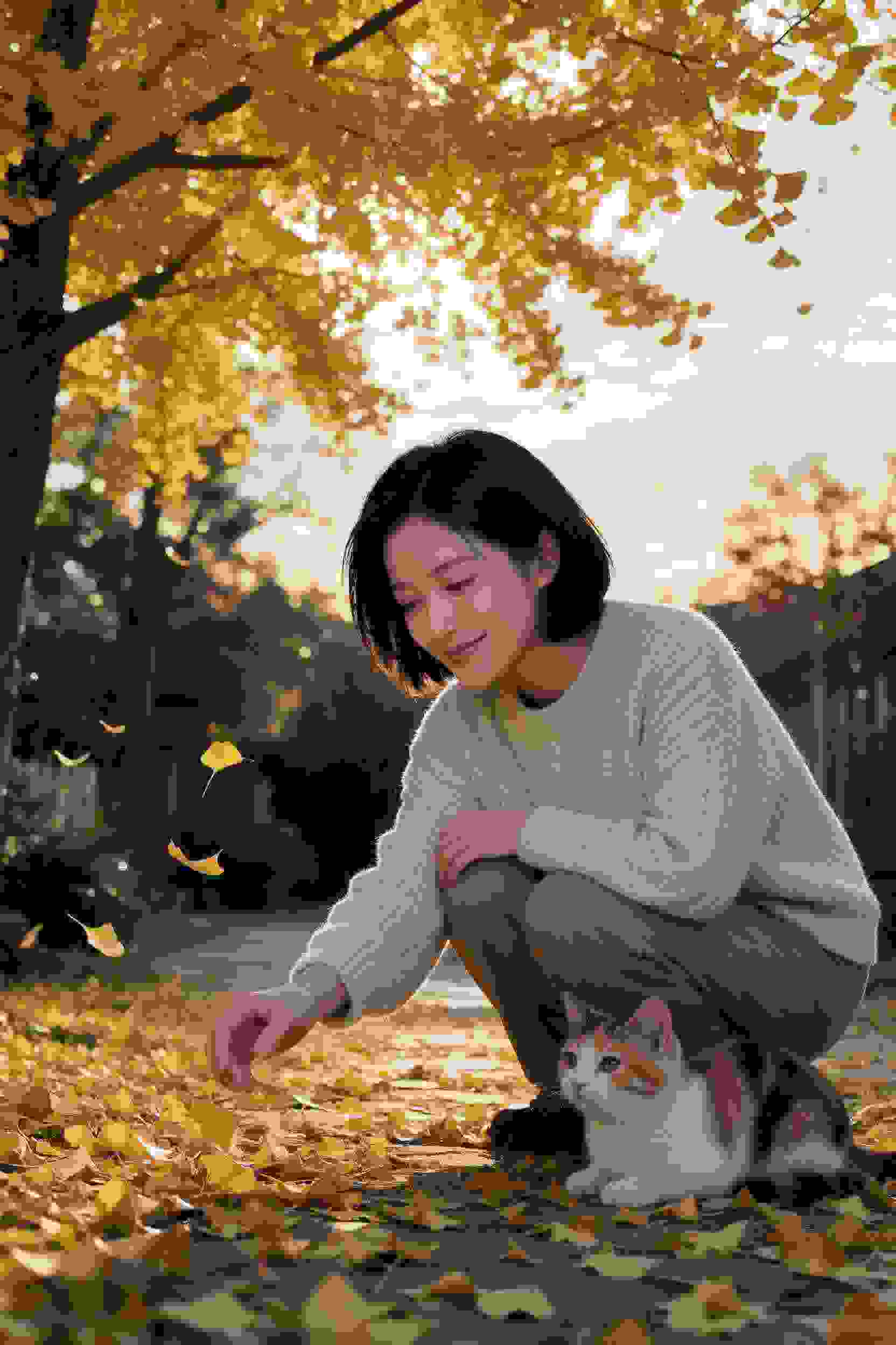 七龙珠GT